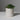 Mini Succulent Pot - Oatmeal/White Stamped