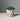 Mini Succulent Pot - Oatmeal/White Spot
